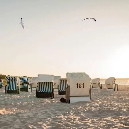 White Pearl 1.16 דירה *