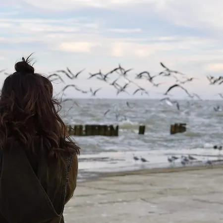 Apartment White Pearl 1.16 *