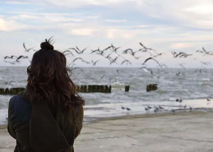 Apartment White Pearl 1.16 *